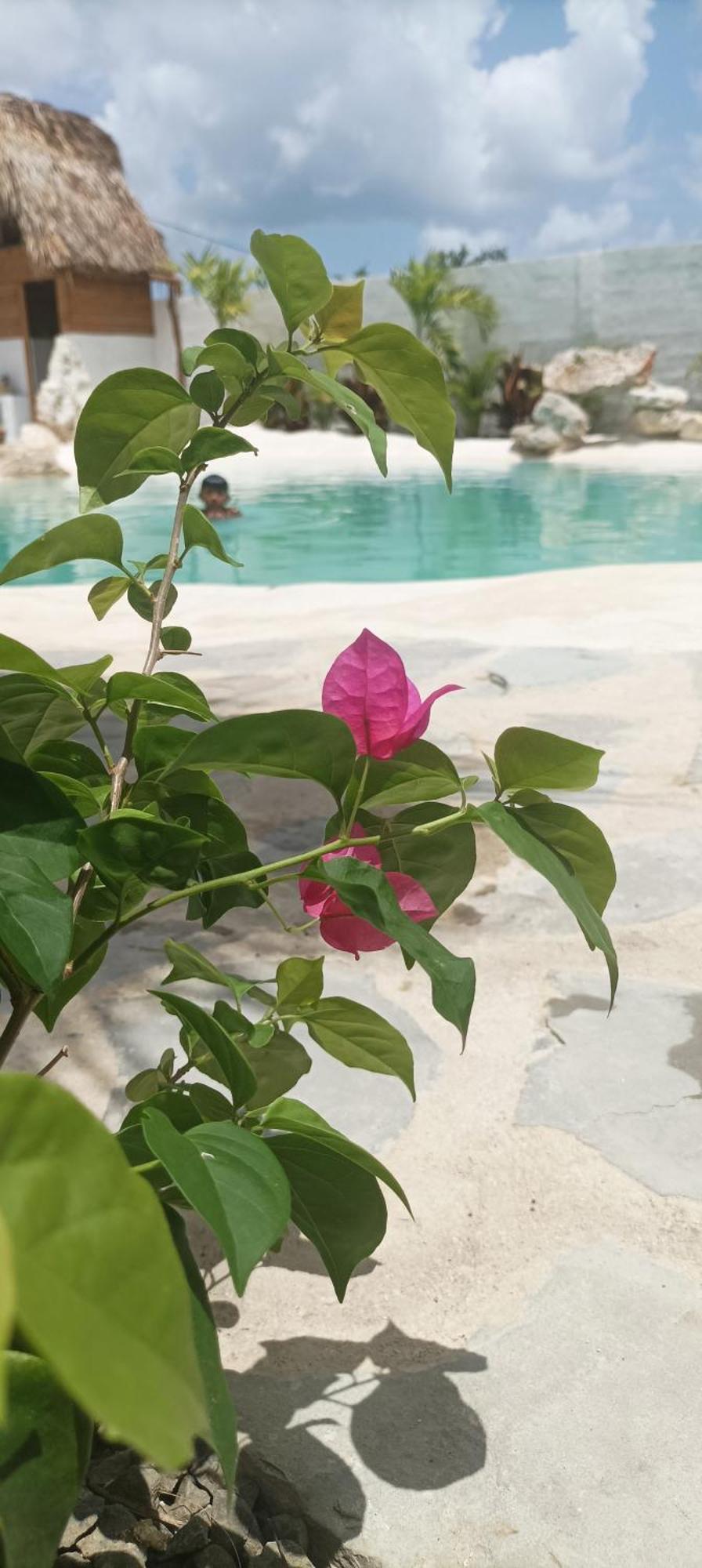 Blue Beach Eco-Hotel By Sanfabini Bayahibe Bagian luar foto